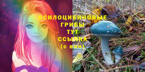 шишки Вяземский