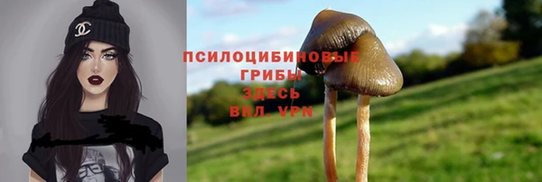 молекула духа Вязники