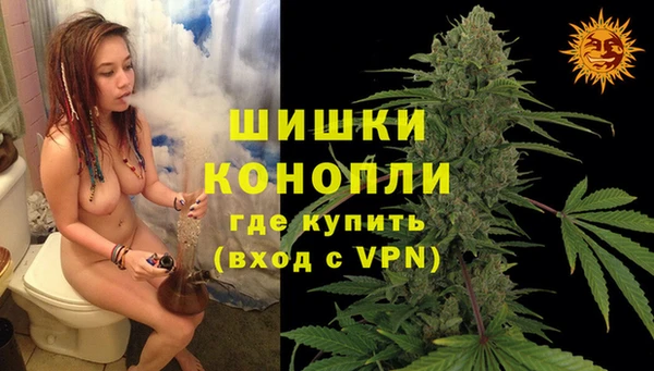 молекула духа Вязники