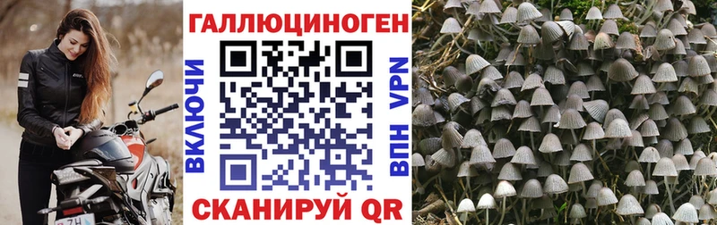 Псилоцибиновые грибы прущие грибы  ОМГ ОМГ рабочий сайт  Заозёрск  купить наркотик 