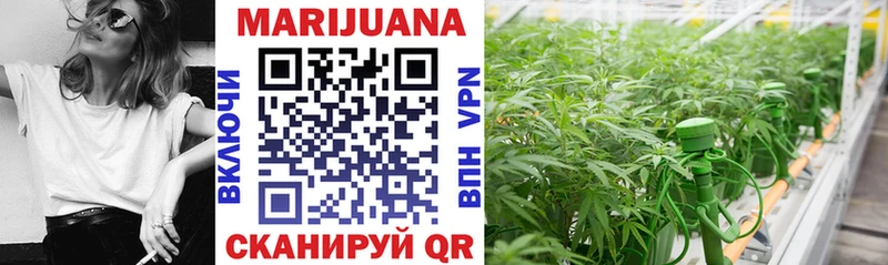 МЕГА tor  Заозёрск  Канабис SATIVA & INDICA 